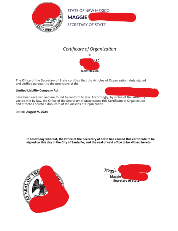 US Business Registration DIY Guide - Image 2